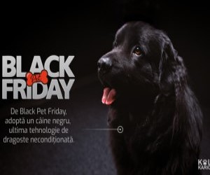 S-a lansat campania Black Pet Friday!